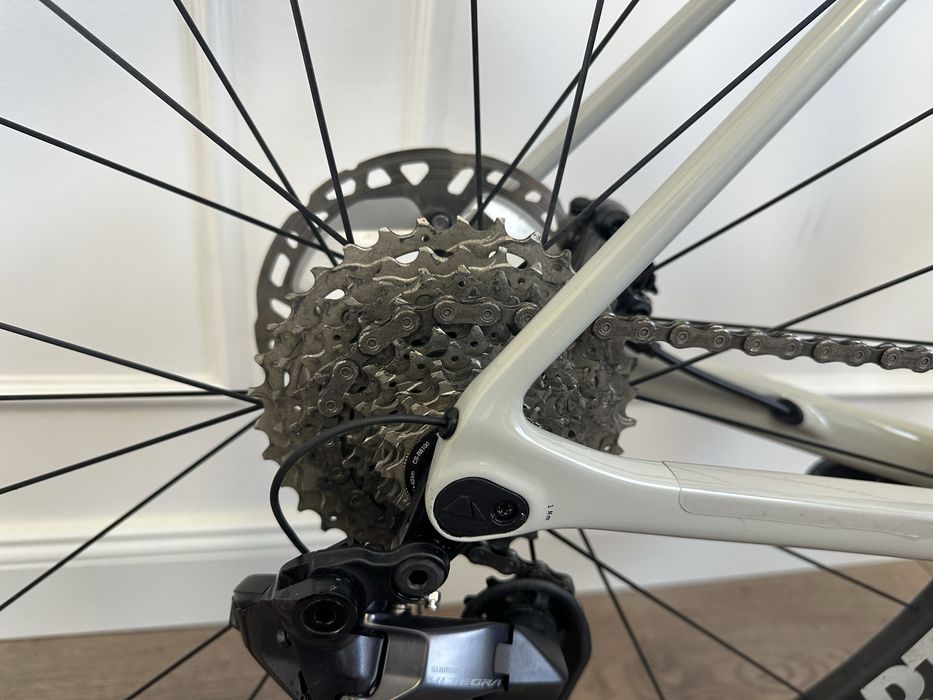 Cursiera Carbon Canyon Endurace CF SL 8 di2 Ultegra 12 speed an 2025