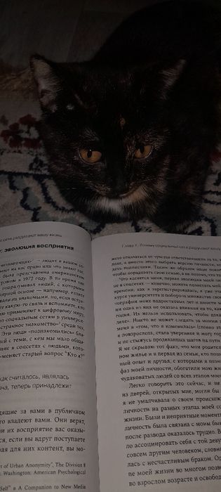 Кошки в любящих семью