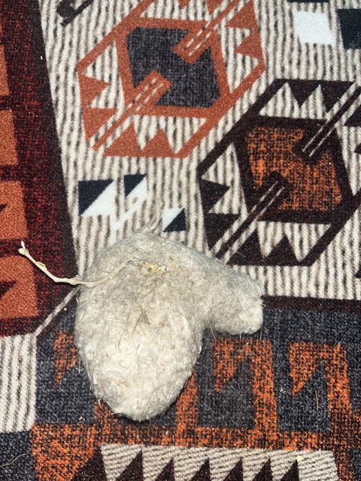 Құрқылтай, Куркылтай