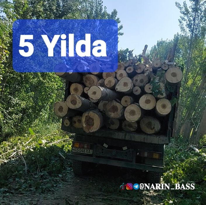 Калифорния, БЫСТРО ХОД терак Кучат Ва каламчалари