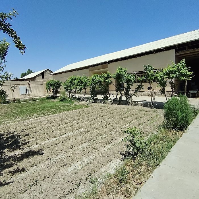 Нарпай 3. Ховли сотилади 370 млн