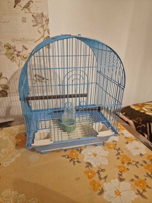 Vind cusca perusi  cu accesorii