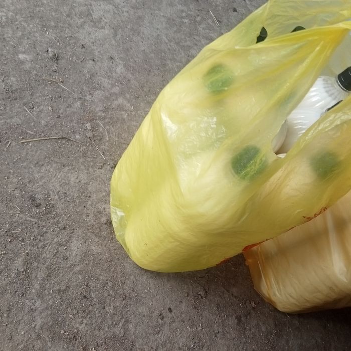 Сыирдын суты, молоко коровье