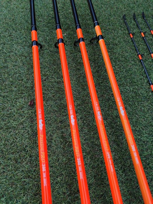 Set 4 lansete FL Passion Cat Fish 3m, 300-600 g