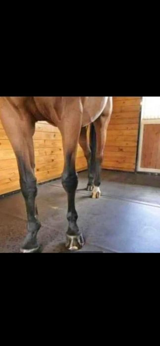 Vănd bandă de caucuc