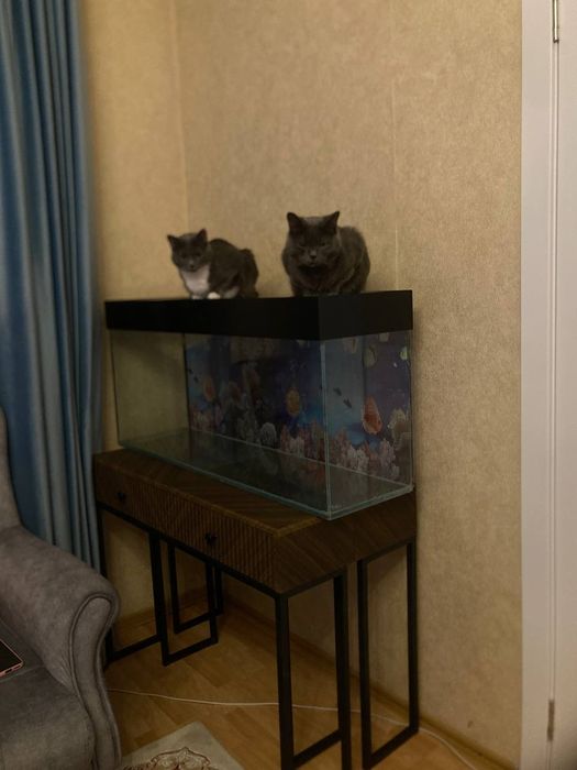 Продам аквариум 150л