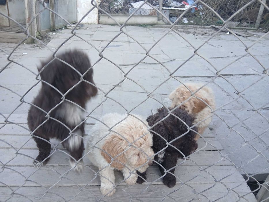 Лагото на 2м мъжки