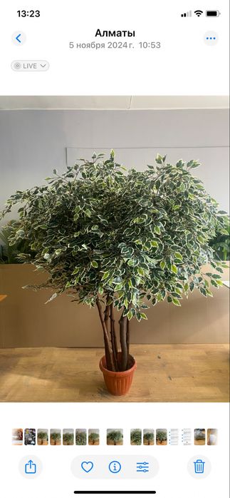 Искусственные деревья