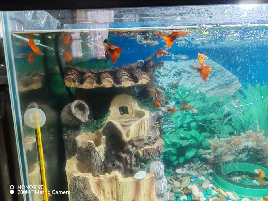 Продам аквариумы  45 литров