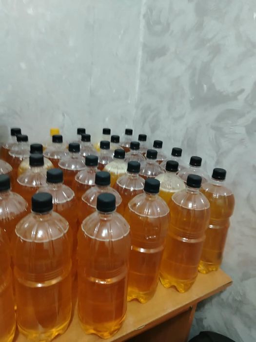 Продам мёд катонский