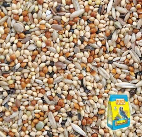 Корма для всех птичек