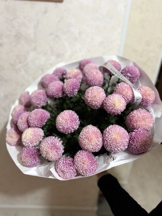 Цветы свежие! Пионы