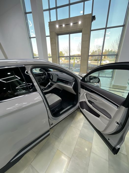 BYD chempion smart /ev