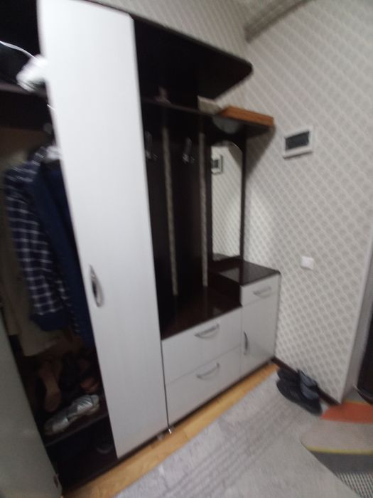 Шкаф прихожая для одежд и обувь