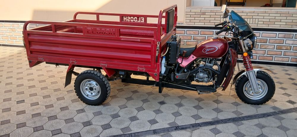 Мототсикил муравей