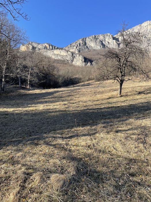 Продава се Парцел в с. Згориград, Област Враца - 3000 кв.м за 14 €/кв.м - Снимка #11