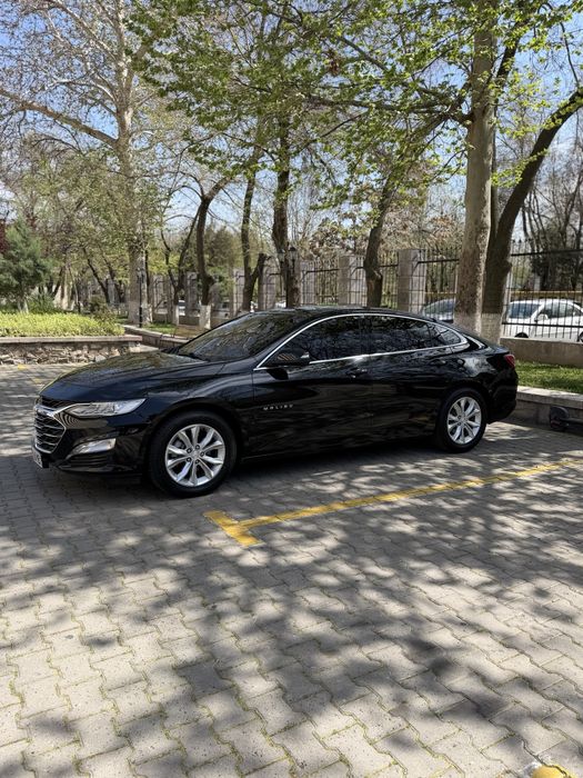 Malibu Primer Sotiladi!