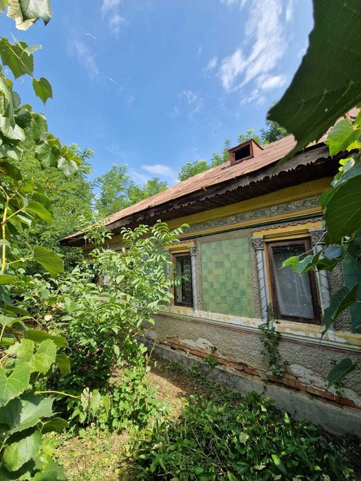 Teren 5.725 m Tomsani, Dâmbovița, la drum județean