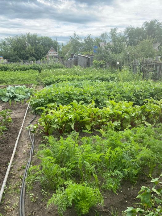 Продам дачу, 18 маршрут
