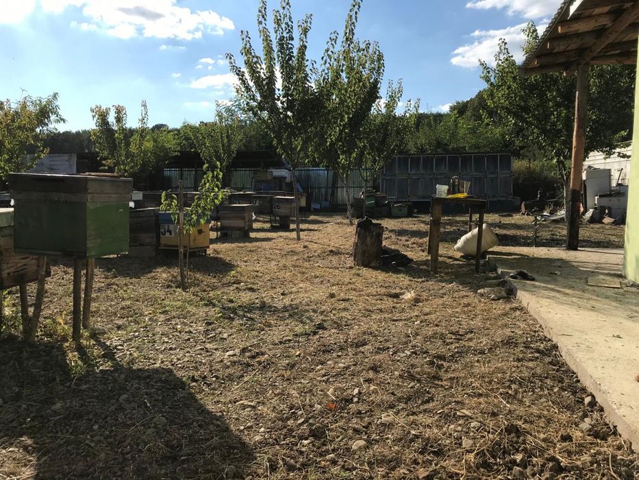 Vand teren extravilan (9500 mp + 4500 mp), comuna Ion Creanga, vizavi de cantonul silvic