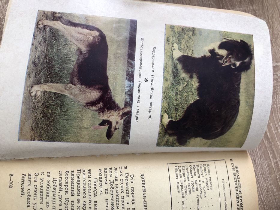 Большая книга охотника