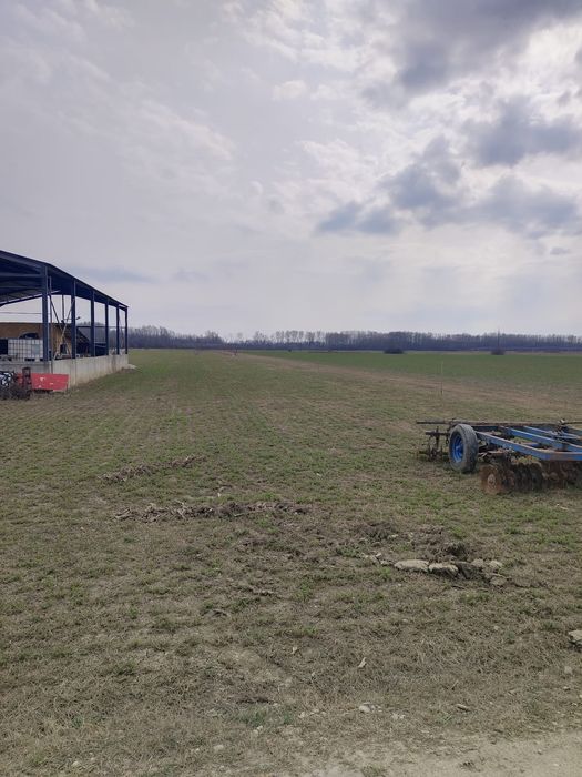 Teren intravilan 1900 mp – Puchenii Moșneni – aproape DN1