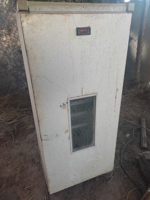 Inkubator holodilnik