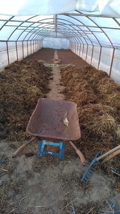 Ingrasamant, balegar, mranita vaca, natural, fermentat pentru gradina ...