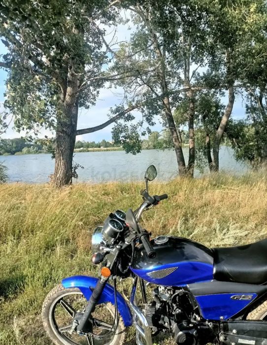 Racer Trophy 2020 г.