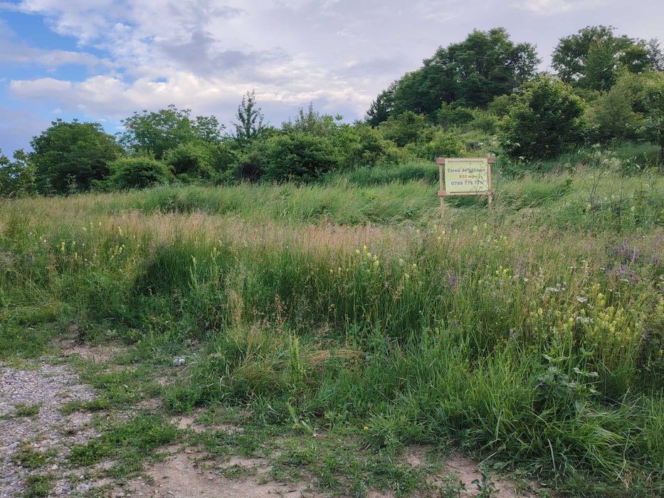 OFERTA! Loturi teren intravilan construibil Valea Voievozilor-aleea Mănăstirii