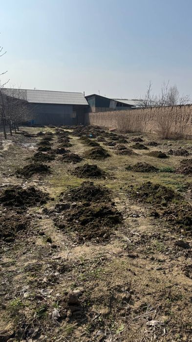 Quruq yer atrofi oralgan