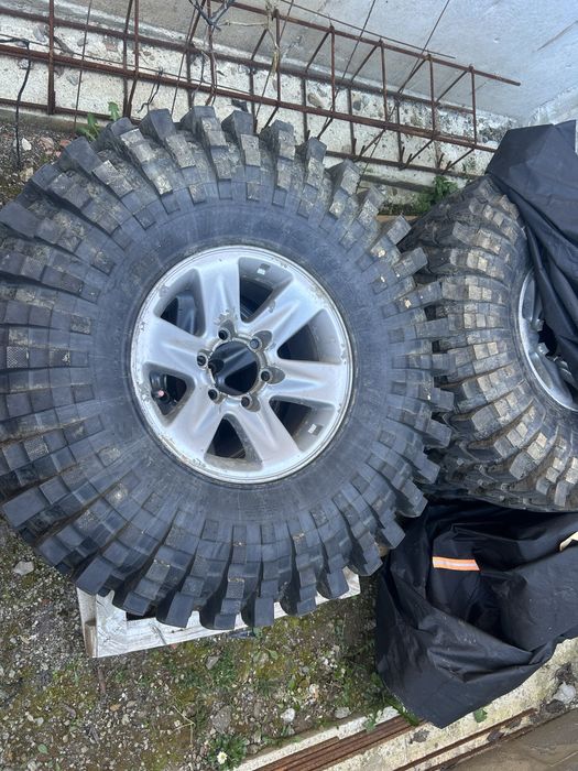 Maxsiss trepador 38.5 dot24