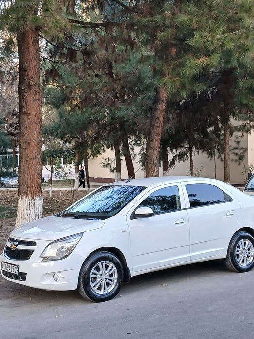 Cobalt Style Plus 2022