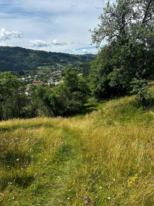 Teren de vanzare Bistra judetul Alba + casa batraneasca din lemn