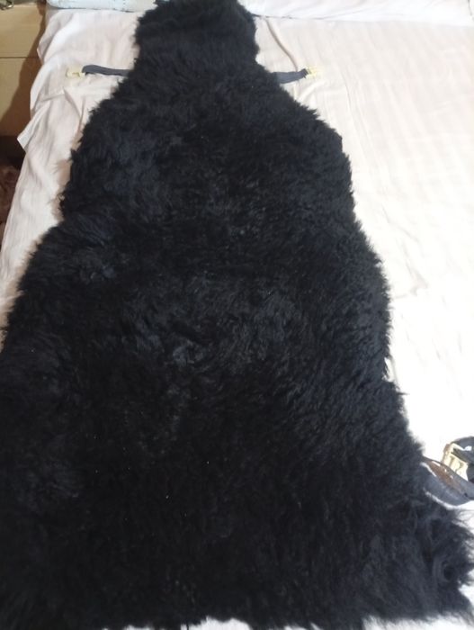 Машина кишки чехол