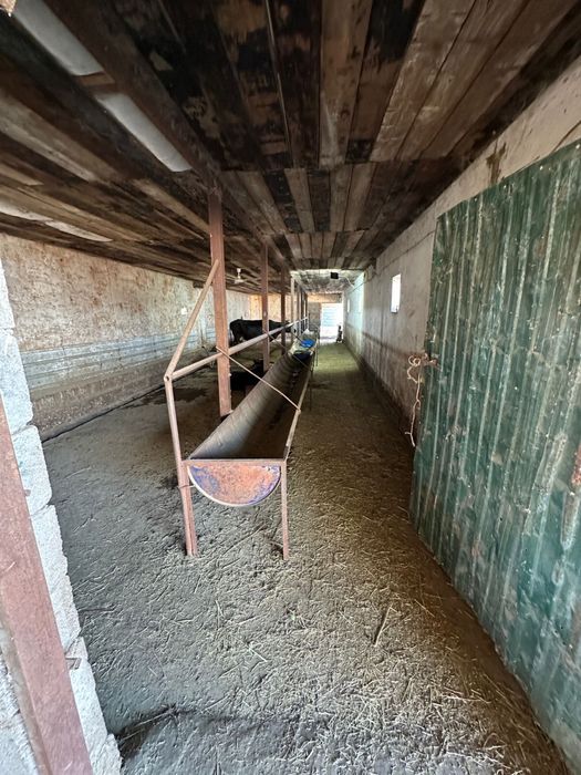 Фермерское хозяйство