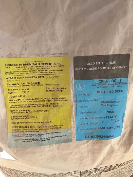 Пионер жүгері ұрық 2қап бар