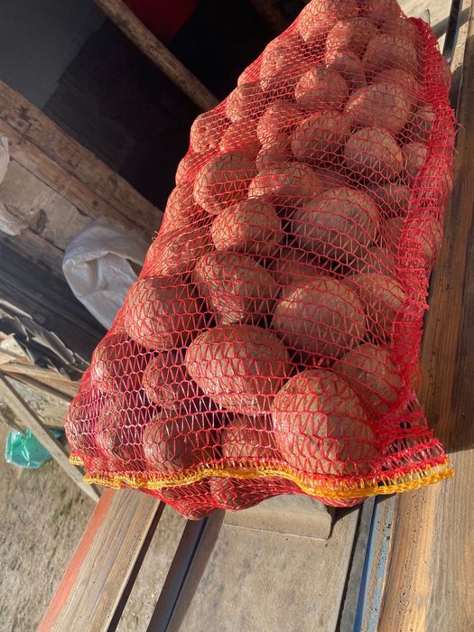 Cartofi devânzare Consum rosu Bellaroza