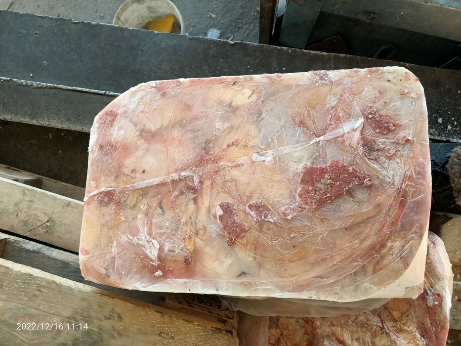 Вымя, Обрезь для собак