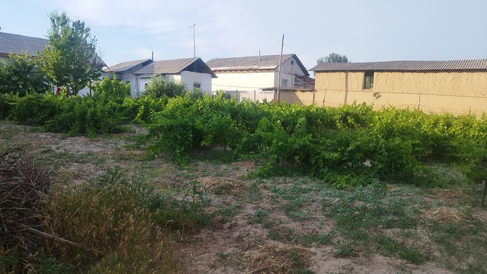 Sroshna uy sotiladi Parkent tumani Samsarak MFY Samsarak koʻchasi