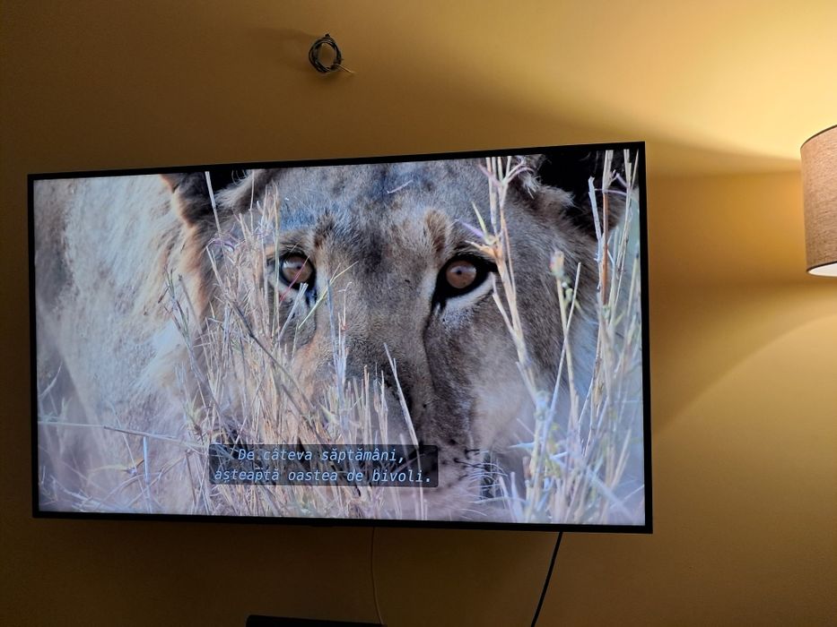 TV Samsung 146 cm (58") UHD 4K Smart TV RU7102 Seria 7