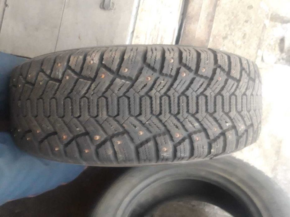 Шины шипованные Гордиант