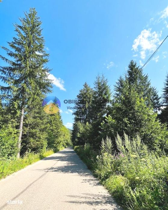 TEREN intravilan TARCǍU-SCHITU 3800 mp, judetul NEAMȚ