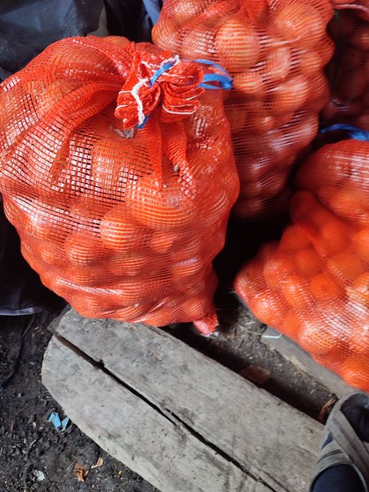 Продам картофель