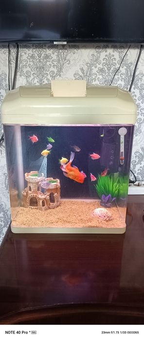 Аквариум 35 литр