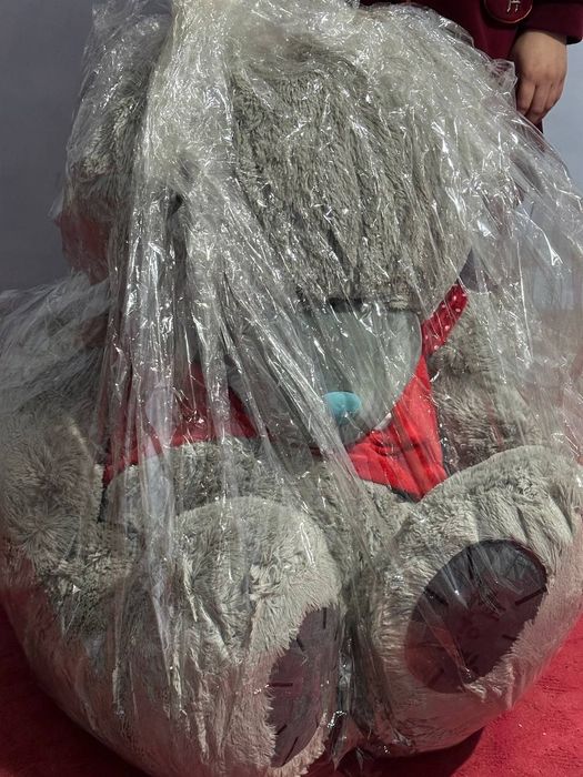 Teddy ayiq [eng kottasi]