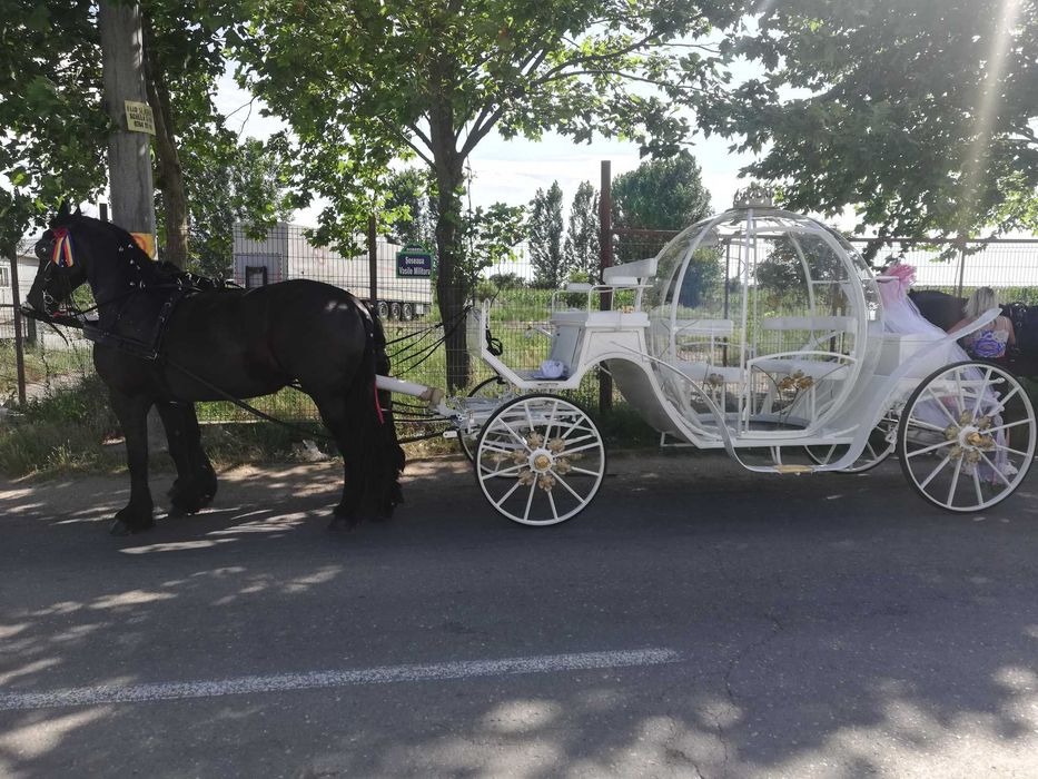 Plimbari cu caleasca, trasura pentru nunti si evenimente