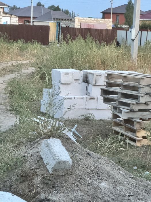 Экотон. Батыс экотон