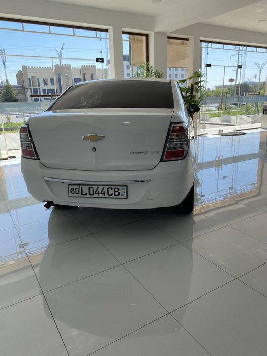cobalt stayl 2023