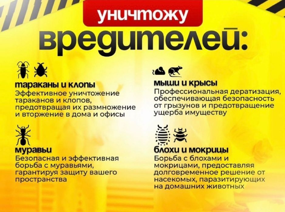 Дезинфекция Тараз